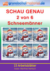 Schneemänner.pdf